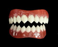 Dental Distortions Grell FX Fangs 2.0 (out of packaging). Sold by Norcostco.