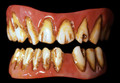 Dental Distortions Dead Fred FX Fangs 2.0 (out of packaging). Sold by Norcostco.