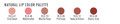 Ben Nye Lip Palette - Natural Colors Chart
