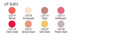 Ben Nye Lip Gloss Colors