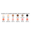 Ben Nye Essential Eye Shadow & Rouge Palette Color Chart