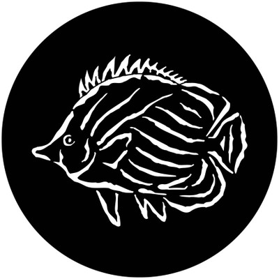 Sea Tropical Fish - Apollo Gobo #7003