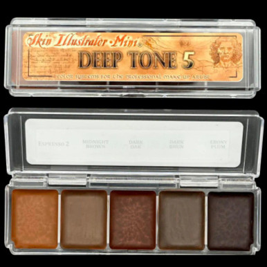 Premiere Products Skin Illustrator Mini Palette Deep Tone 5. Sold by Norcostco.