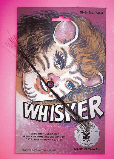Whiskers