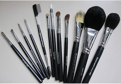 Royal and Langnickel SILK Pro 13 Piece Brush Set (out of packaging). Sold by Norcostco.