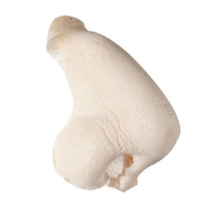 Kryolan Foam Nose K7