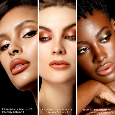 ESUM Artistry Eyeshadow Palette No2 Intensity