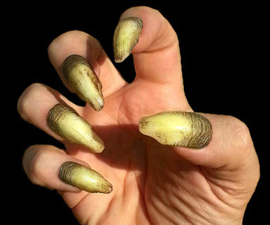 Dental Distortions Creepy Claws Warlock (close up on hand). Sold by Norcostco.