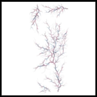 Tinsley Transfers Trauma FX Tattoo -  Possessed Veins