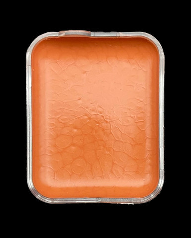 PPI Skin Illustrator Cell Refills