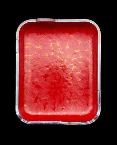 PPI Skin Illustrator Cell Refills