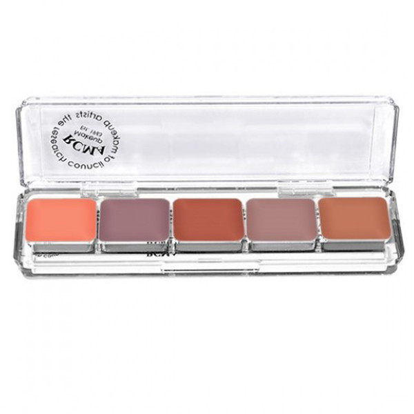RCMA 5 Color Cheek Palette #2
