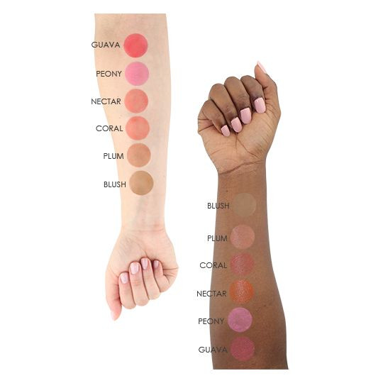 TEMPTU S/B Blushes
