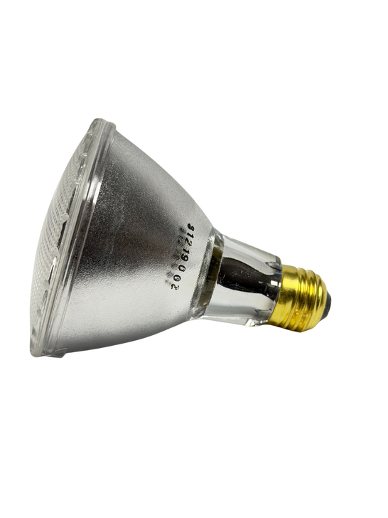 75W - PAR30 LN FL / 120V - PAR LAMP