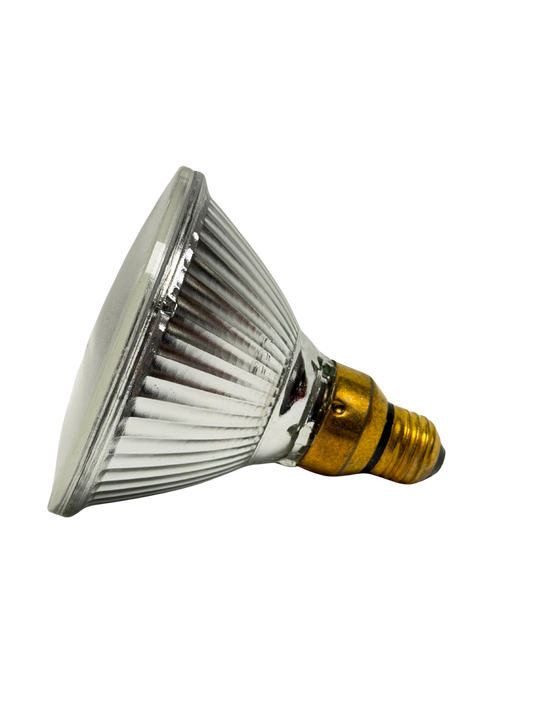 90W - PAR30 FL / 130V - PAR LAMP