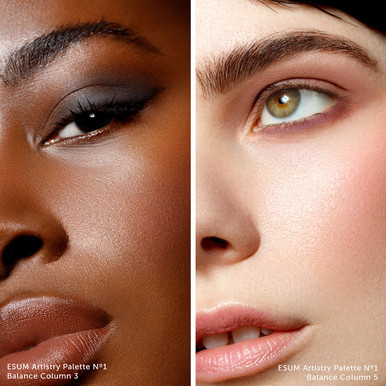 ESUM Artistry Eyeshadow Palette No1 Balance