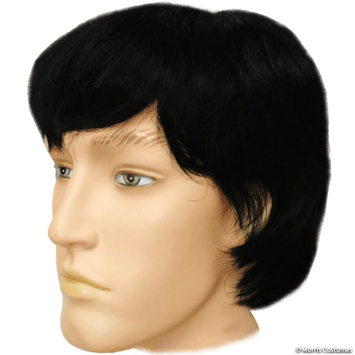 Rock N' Roll Wig