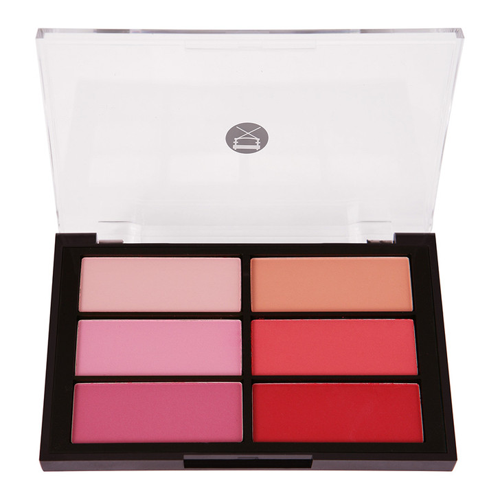 VISEART Blush Palette: 02 Rose-Coral