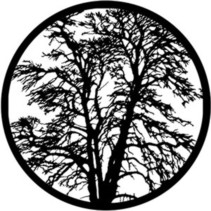 Bare Tree - Rosco Gobo #78438