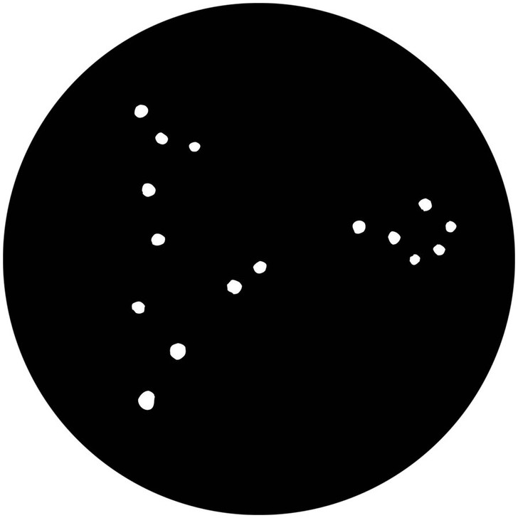 Constellation Pisces The Fish - Apollo Gobo #7023-B