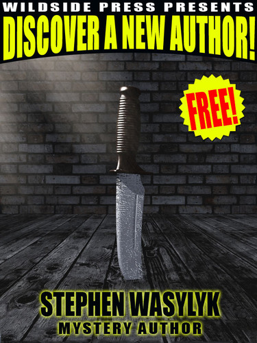 Discover a New Author: Stephen Wasylyk (epub/Kindle/pdf)