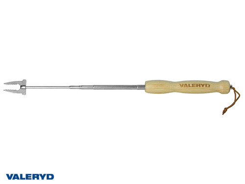 Telescopic roasting stick