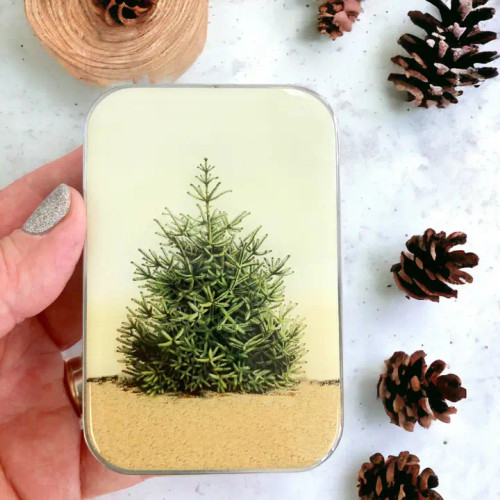 A hand holding the large Pine Tree Tin to show its compact, pocket-sized scale.