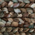 Malabrigo Nube in Corteza, 100% Merino wool roving with earthy tones of brown, beige, and green, in a 4oz bundle for spinning and felting.