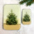Pine Tree Notions Tins in Small and Large with vintage evergreen illustrations.