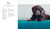 Brown dog lying on teal blanket, Knits for Dogs: Sweaters, Toys and Blankets, furry friend accessories featured.