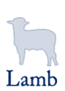 Lamb Kidney