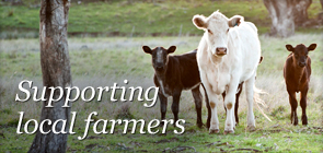 pic-295x140-support-local.jpg