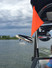 Water Ski Flag