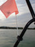 Tower mount flag buddy on Ski Nautic