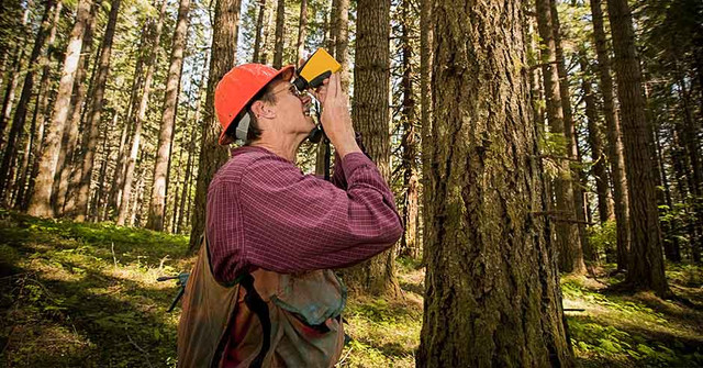 How Foresters & Forestry Technicians Depend on Cell Phone Boosters How Foresters & Forestry Technicians Depend on Cell Phone Boosters