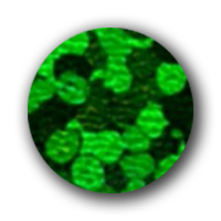 spangles-holographic-emerald.png