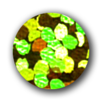 spangles-holographic-lime.png