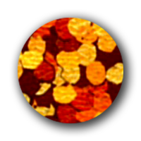spangles-holographic-orange.png
