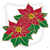 Poinsettia