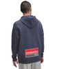 Sydney FC 25/26 UA Mens Essentials Hoody Grey