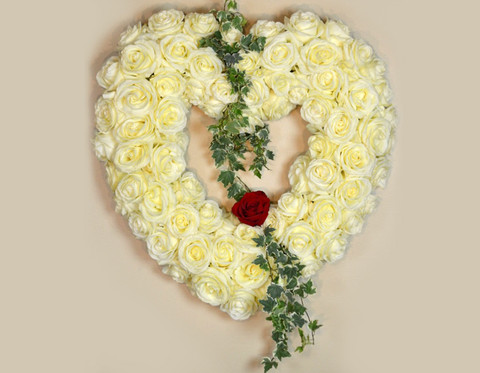 My One and Only Heart