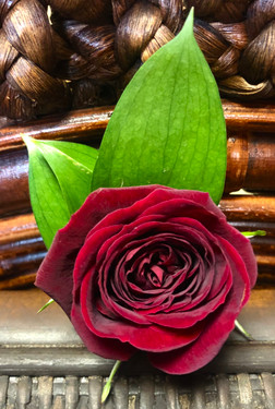 Spray Rose Boutonniere