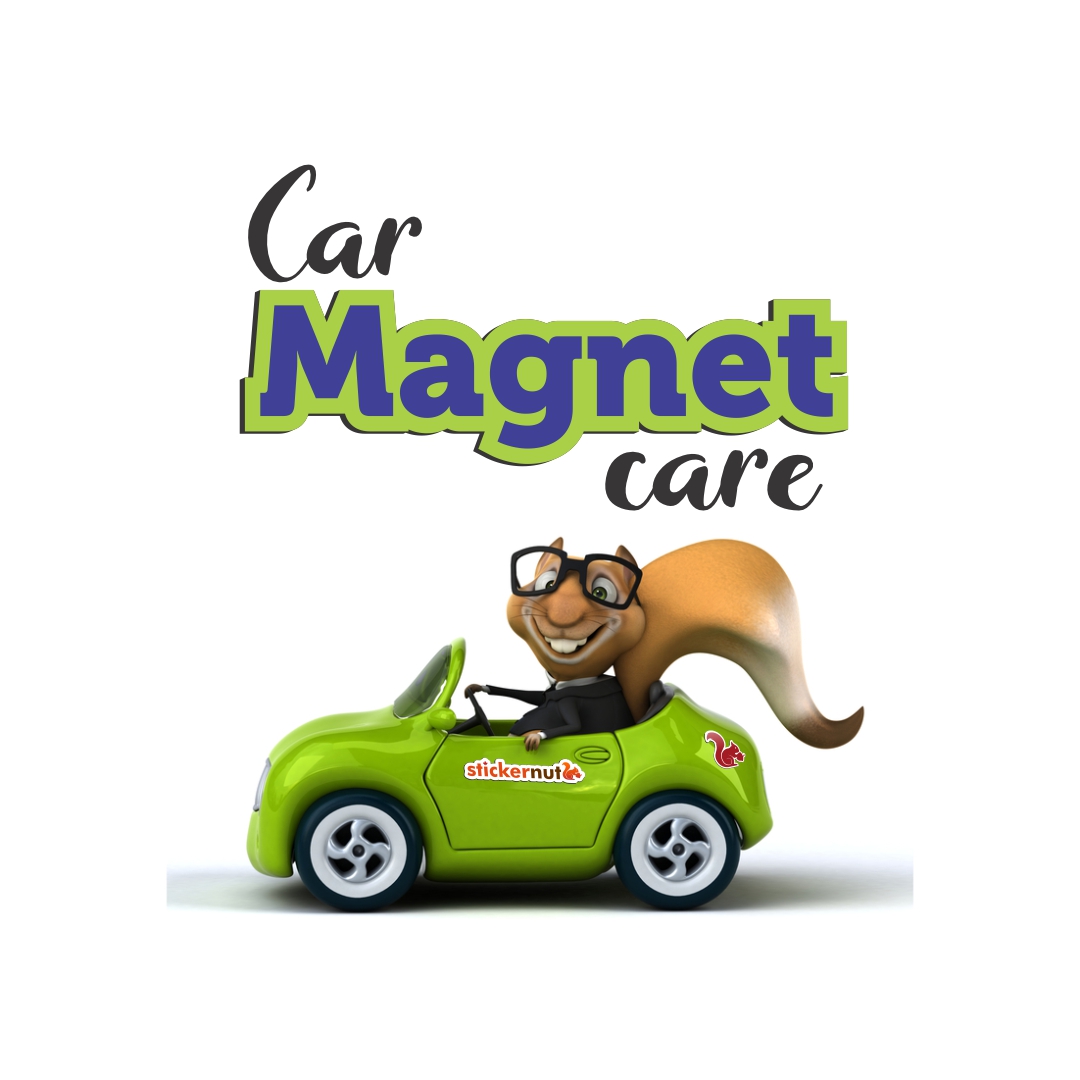 How to take care of car magnets