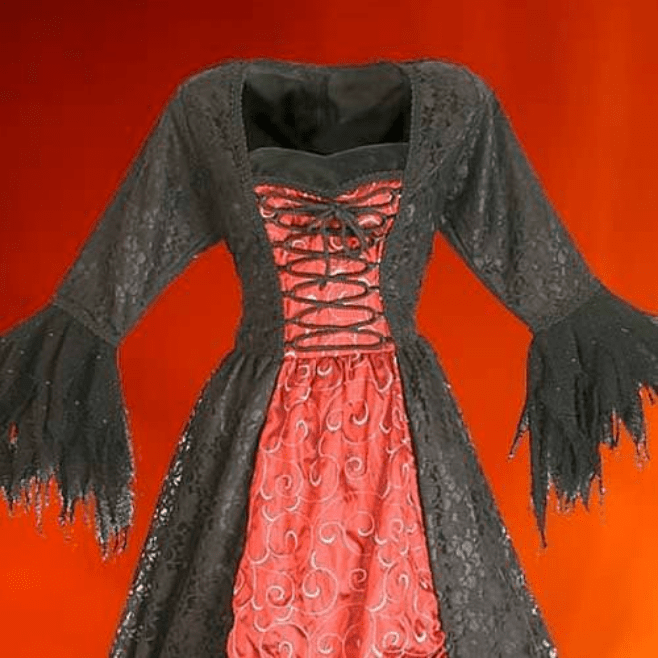 Nya Gothic Net Overlay Corset Dress
