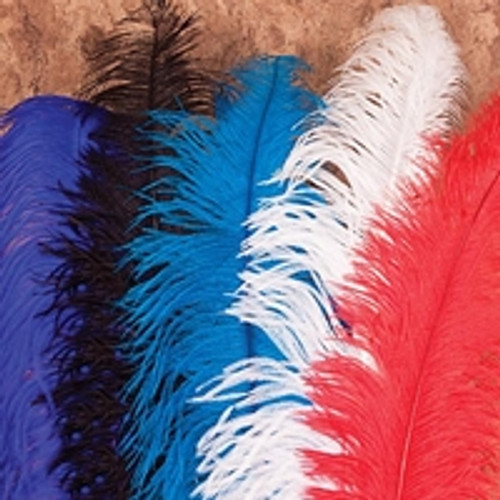 Ostrich Feathers
