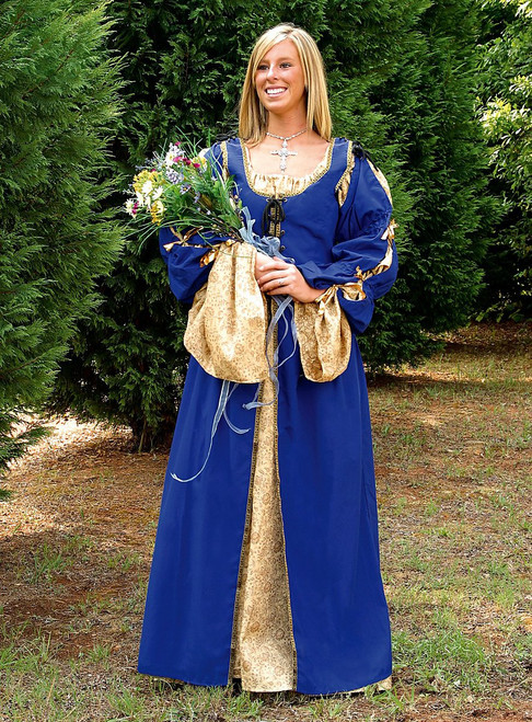 Renaissance Overdress