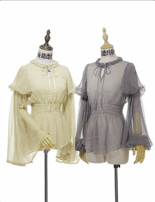 Transparent Long Sleeve Chemise Top