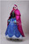 Frozen Anna Winter Embroidered Costume