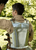 Backplate for Warrior or Drake