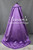 Frozen Elsa Coronation Embroidery Dress Set